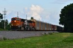 BNSF 8029